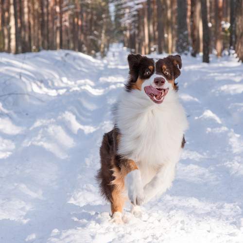 Photo #11752982