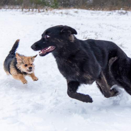 Photo #11752996