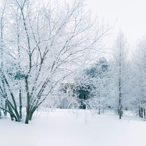 Photo #11753058