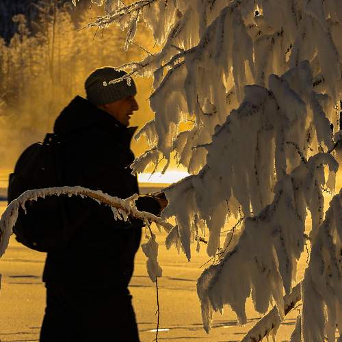 Photo #11753084
