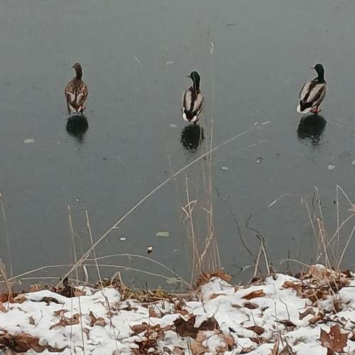 Photo #11753098