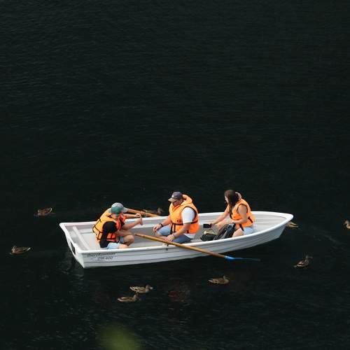 Photo #11753170