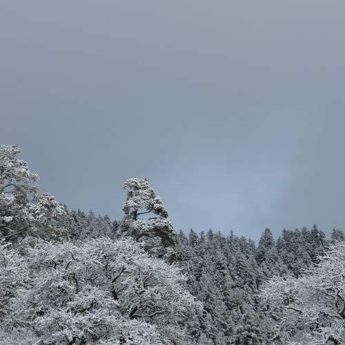 Photo #11753192
