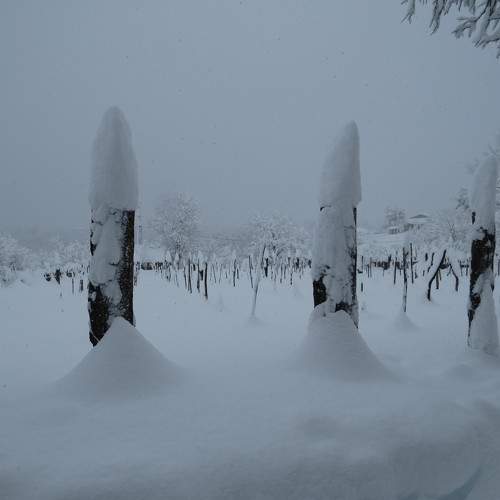 Photo #11753197