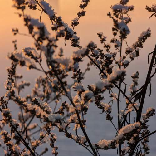 Photo #11753286