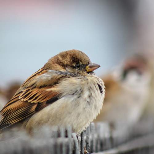 Photo #11753349