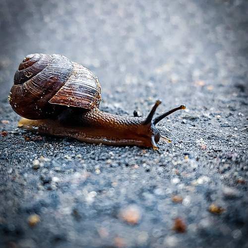 Photo #11753428