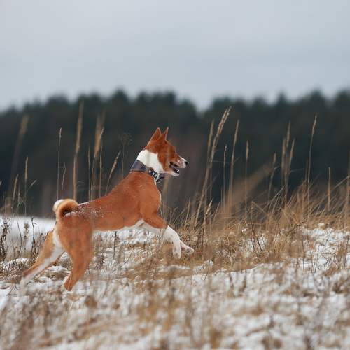Photo #11753603