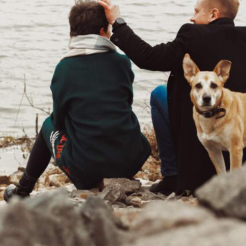 Photo #11753659