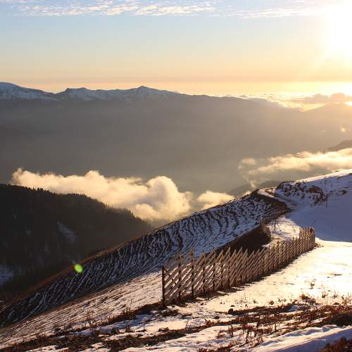 Photo #11753693