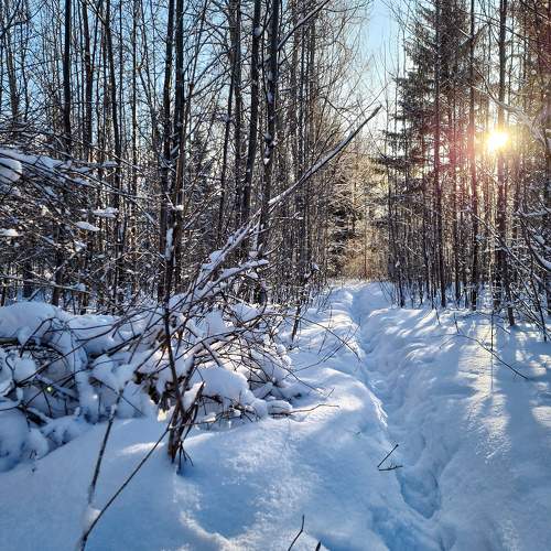 Photo #11753877