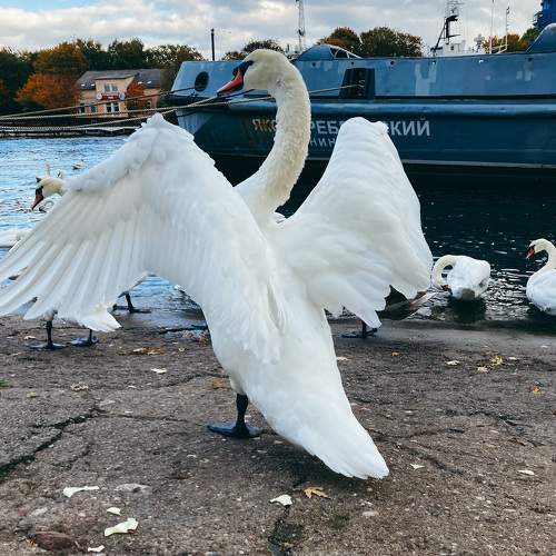 Photo #11753886