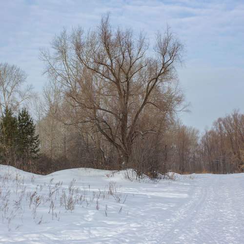 Фотография #11753906