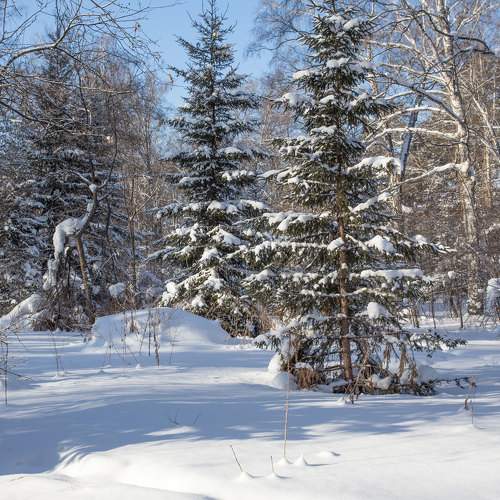 Фотография #11753910