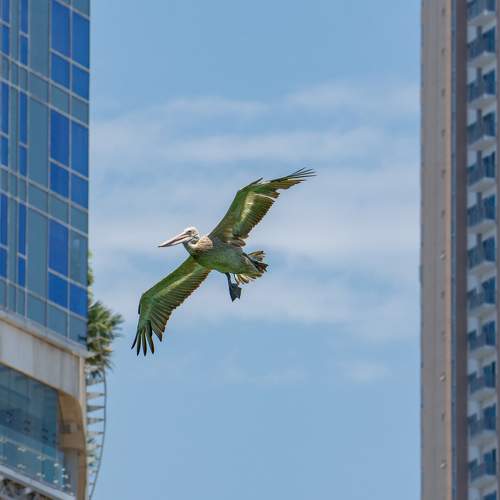 Photo #11754067