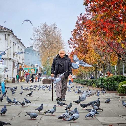 Photo #11754069