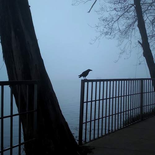 Photo #11754075