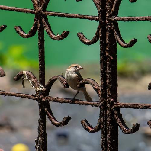 Photo #11754089