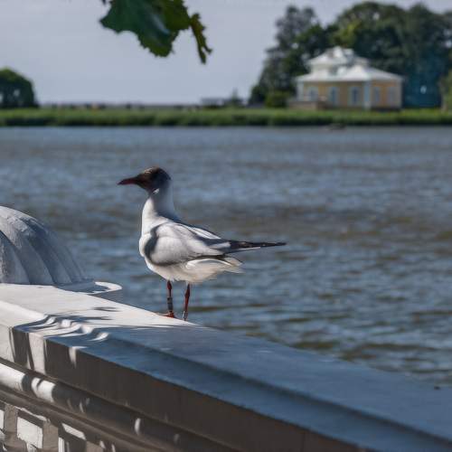 Photo #11754211