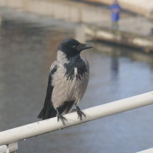 Photo #11754238