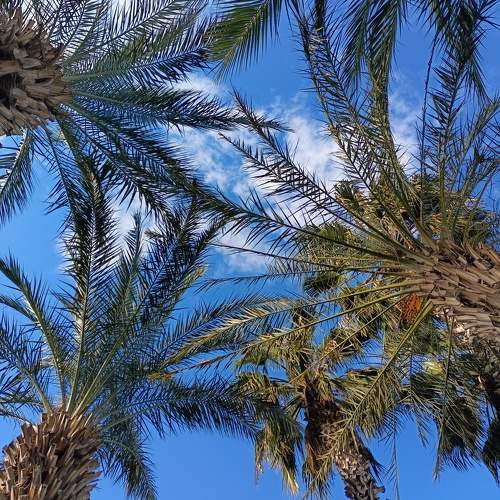 Photo #11754270