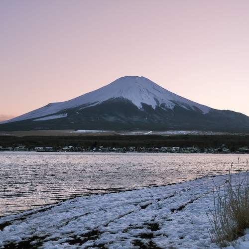 Photo #11754358