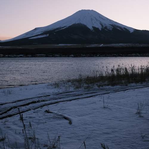 Photo #11754360