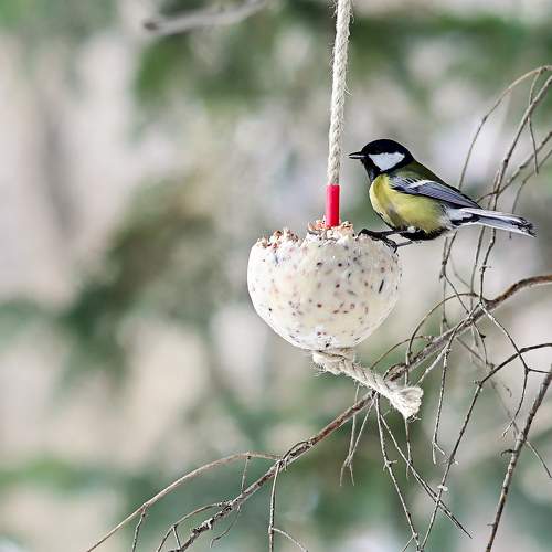 Photo #11754546
