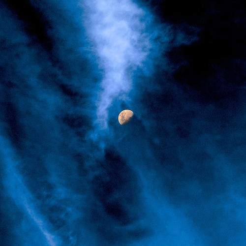 Photo #11754737