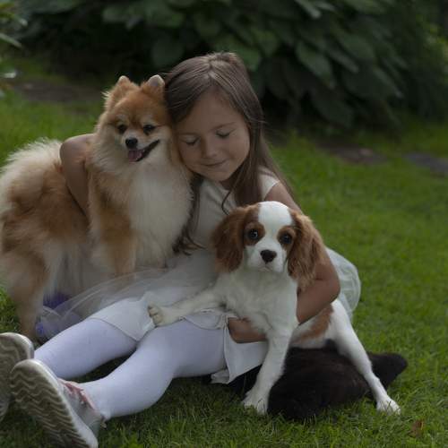 Photo #11754818