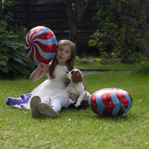 Photo #11754824
