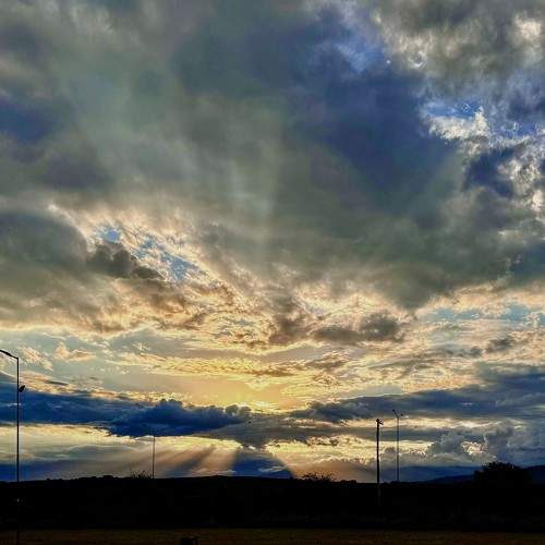 Photo #11754951