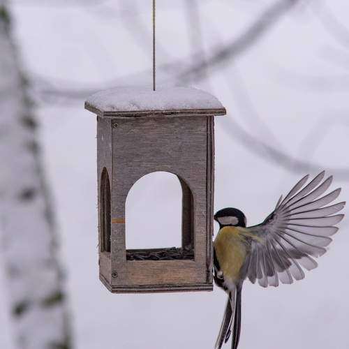 Photo #11755029