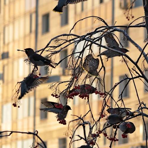 Photo #11755122