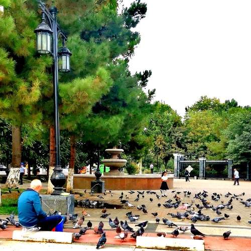 Photo #11755155