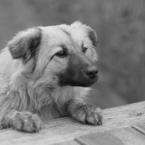 Photo #11755310