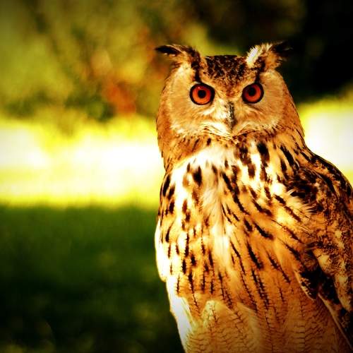 Photo #11755319