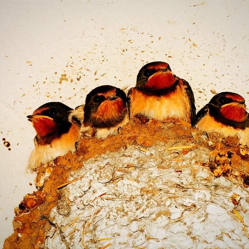 Photo #11755320