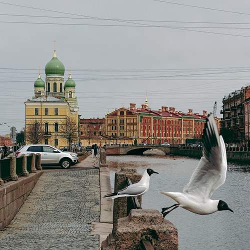 Photo #11755490