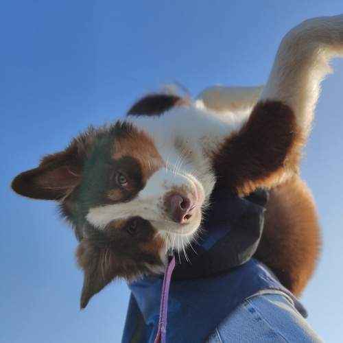 Photo #11755601