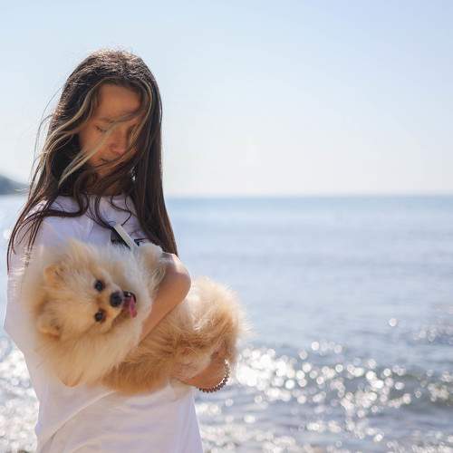 Photo #11755621