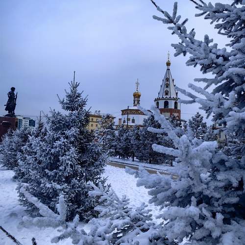 Photo #11755647