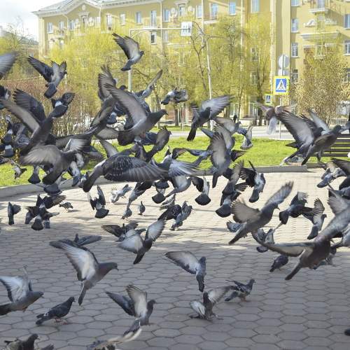 Photo #11755686