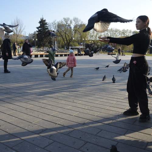 Photo #11755688