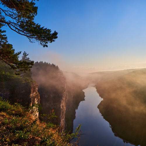 Photo #11756010