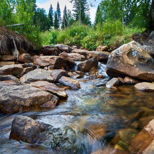 Photo #11756018