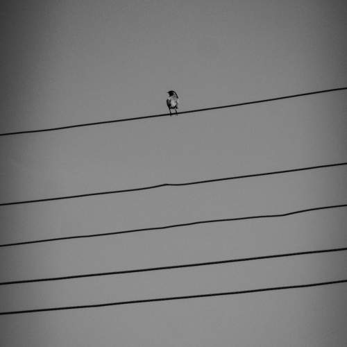 Photo #11756111