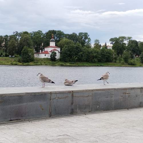 Photo #11756153