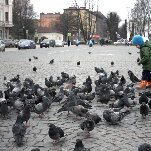 Photo #11756212