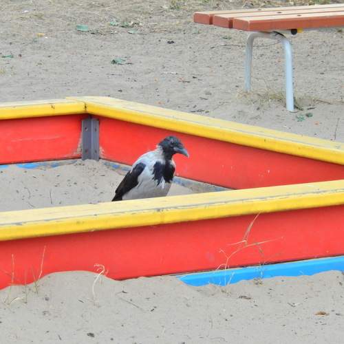 Photo #11756256